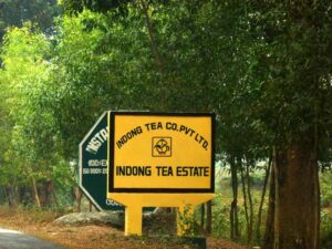 indong tea estate logo